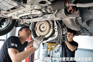 汽车避震维修包修多少钱(汽车避震维修包价格及维修成本解析)