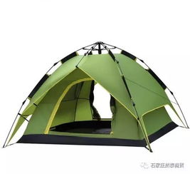 汽车帐篷能住多少人啊(汽车帐篷能住多少人？探究其居住人数与实用性)