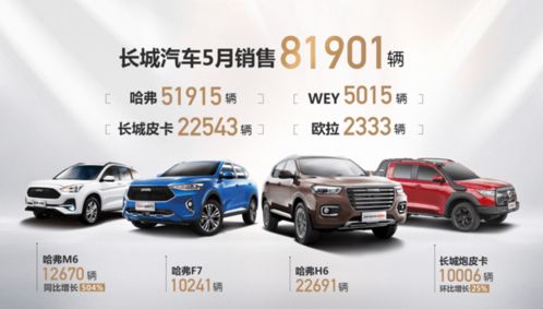 临沂长城汽车投资多少钱(临沂长城汽车投资金额深度解析)