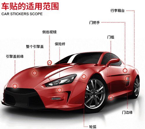 汽车个性龙字贴膜多少钱(汽车个性龙字贴膜价格解析)