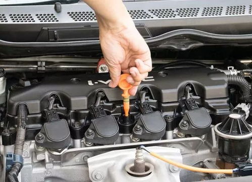 汽车能加多少润滑油(汽车润滑油加注量与车辆性能的关系)