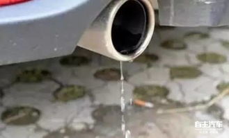 汽车排气管全段多少钱(汽车排气管全段价格解析，了解费用，明智决策)