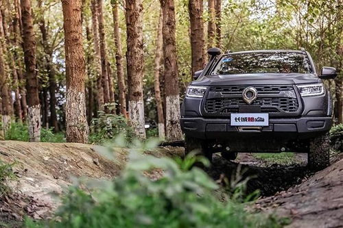 长城汽车有多少个部门(长城汽车的组织架构与部门探究)