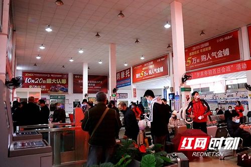 临武汽车站电话是多少号(临武汽车站电话查询—出行必备信息)