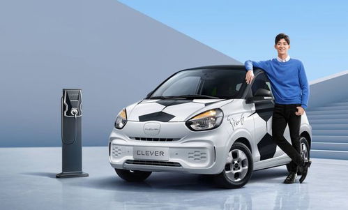 科莱威电动汽车多少瓦(科莱威电动汽车功率揭秘，多少瓦才是关键？