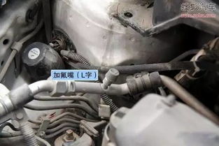 冬天汽车加氟用多少度(冬天汽车加氟适宜温度解析) 冬天汽车加氟用多少度(冬天汽车加氟适宜温度解析)