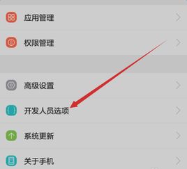 华为电脑怎么调成竖屏(华为电脑竖屏设置详解，轻松调整屏幕方向)