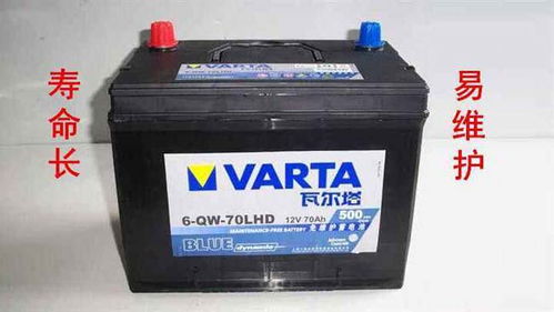 汽车怎么看电池多少伏电(汽车电池电压检测全解析)