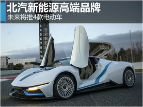 纯电动汽车有多少种品牌(纯电动汽车品牌大观，多样性与创新的融合)