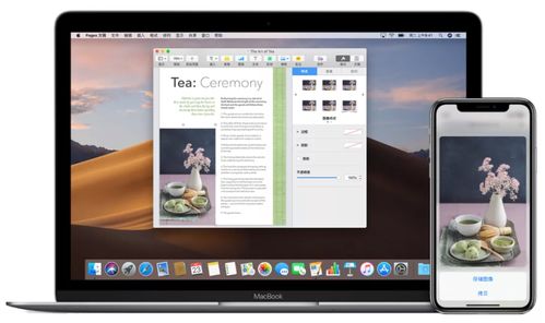 华为网页怎么变成电脑版(华为网页如何轻松切换至电脑版—全面指南)