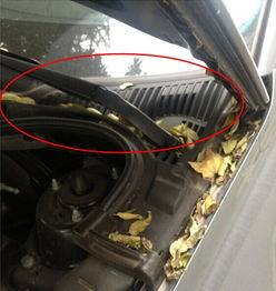 汽车玻璃喷嘴清理多少钱(汽车玻璃喷嘴清理费用详解)