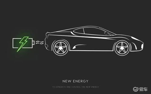 汽车踏板打标要多少钱(汽车踏板打标价格解析，费用、因素与考量)