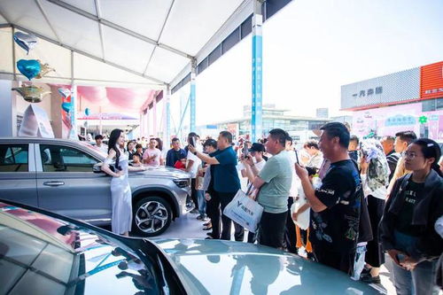 中国有多少人开过汽车店(中国有多少人开过汽车店，探究汽车零售业的历史与现状)