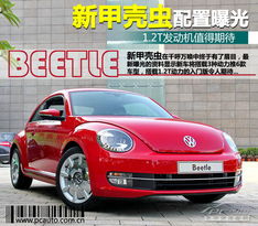 甲壳虫是多少排量的汽车(甲壳虫汽车排量解析)