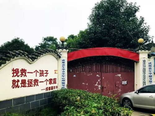 南坝到成都汽车电话多少(南坝到成都汽车电话查询及旅行指南)