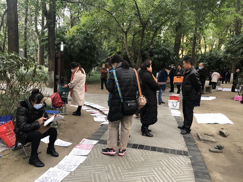 公园有人聚众淫乱？成都公安通报(关于公园有人聚众淫乱事件的深度解析与成都公安的积极应对)