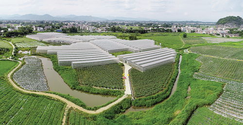 三十六计 常州用了“侏罗计”三十六计与现代城市智慧,常州运用侏罗计的独特实践) 三十六计 常州用了“侏罗计”三十六计与现代城市智慧,常州运用侏罗计的独特实践)