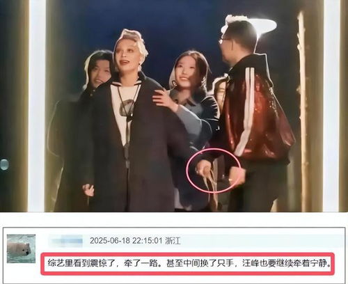 汪峰牵手宁静 森林北评论区沦陷(汪峰与宁静的森林之恋，评论区沦陷的背后故事)