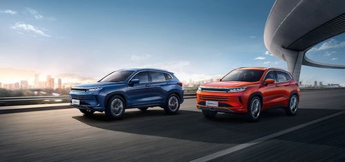 汽车星途蓝月多少钱(汽车星途蓝月，价格解析及市场洞察)