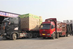 重庆到沈阳运汽车多少钱(重庆到沈阳运输汽车费用详解) 重庆到沈阳运汽车多少钱(重庆到沈阳运输汽车费用详解)