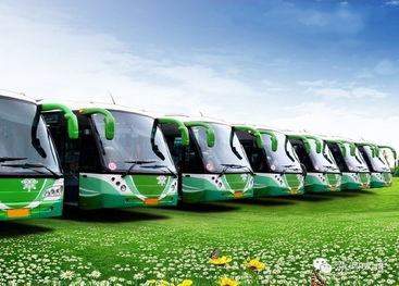 20亩地能放多少辆汽车(探究20亩地能容纳的汽车数量)