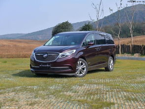 斯威汽车拉花多少钱(斯威汽车拉花价格解析)