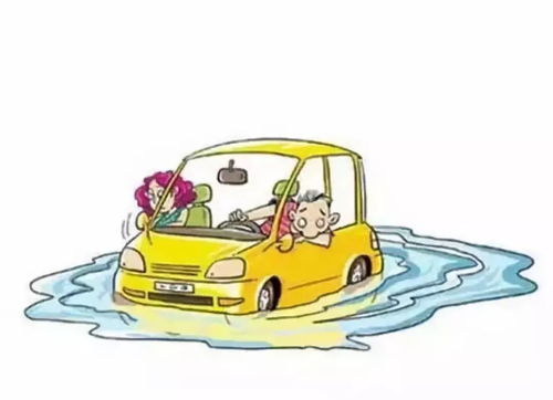 开汽车撞木头赔多少钱(汽车撞木头损失赔偿深度解析)