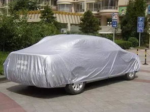 汽车洗车清理树腊多少钱(汽车洗车清理树腊费用解析) 汽车洗车清理树腊多少钱(汽车洗车清理树腊费用解析)