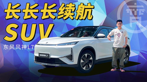 江夏好的汽车救援多少钱(江夏地区优质汽车救援服务费用解析)