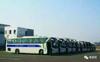 武冈汽车站电话多少号(武冈汽车站电话多少号？详细指南帮助你轻松获取联系方式)