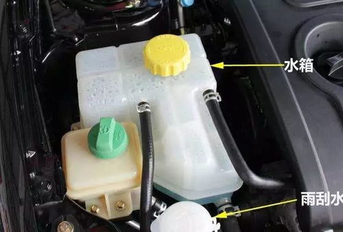汽车疏通水箱价格多少钱(汽车疏通水箱价格分析)