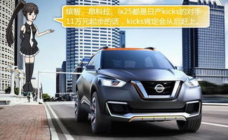 日产汽车前翼板多少钱(日产汽车前翼板价格解析，了解成本、市场与购买策略)