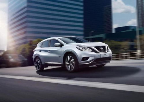 日产汽车前翼板多少钱(日产汽车前翼板价格解析，了解成本、市场与购买策略)