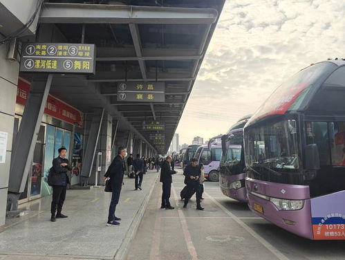淄博西站汽车站电话多少(淄博西站汽车站电话查询与出行指南) 淄博西站汽车站电话多少(淄博西站汽车站电话查询与出行指南)
