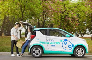 共享汽车有多少个牌子车(共享汽车的品牌与种类，市场概览)