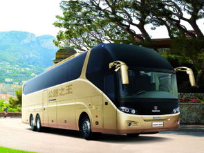 西安到重庆的汽车多少钱(西安至重庆汽车票价详解，价格、路线与旅行体验)