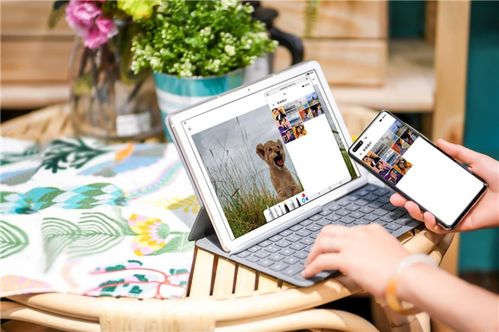 华为平板电脑英语怎么读(华为平板电脑英语读音解析及相关探讨)