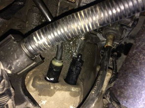 汽车离合可以松吗多少钱(汽车离合器调整与维护，能否松开及费用解析)