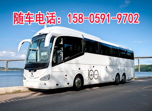 大田汽车站住宿排名多少(大田汽车站住宿排名及综合评估)