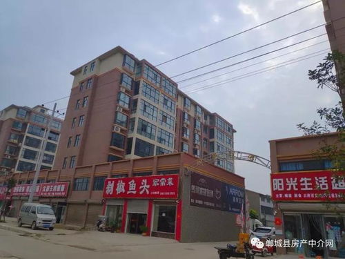 郸城市汽车站电话多少(探寻郸城市汽车站电话号码)