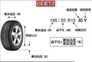 汽车轮胎外直径多少米(汽车轮胎外直径的重要性及其相关知识解析)