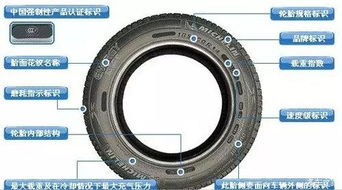汽车轮胎外直径多少米(汽车轮胎外直径的重要性及其相关知识解析)