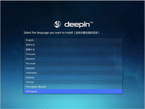 华为电脑deepin怎么安装软件(华为电脑Deepin系统安装软件详解)