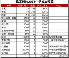 一年汽车费用大概多少(一年汽车费用概览，日常开销与预算制定)