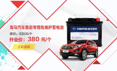 汽车高压电瓶多少伏电(汽车高压电瓶的电压，深入了解汽车电力系统的核心)