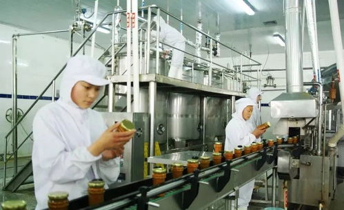 汽车上有多少种信号线路(汽车上的信号线路种类及其功能解析)