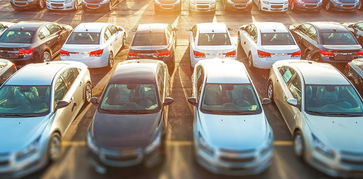 浙江汽车中空板多少钱(浙江汽车中空板价格解析)