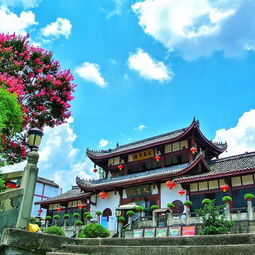 阆中到天宫院汽车票多少(阆中到天宫院汽车票价查询)