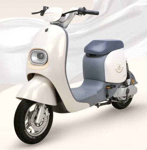 电动汽车的灯泡多少钱(电动汽车灯泡价格解析)