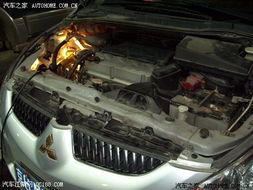 战狼牌汽车滤芯多少钱(战狼牌汽车滤芯价格解析)